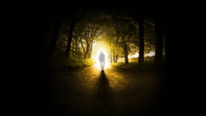 Zakład Pogrzebowy ATENA